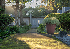 garden-2
